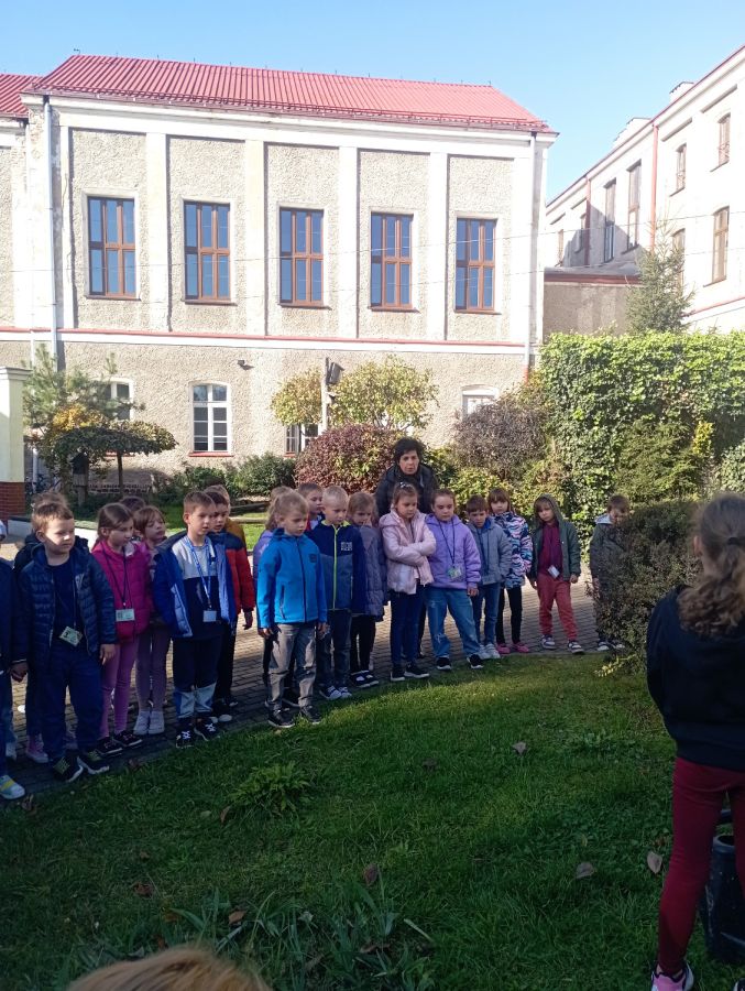 IMG 20241017 105241 IMG 20241017 105241