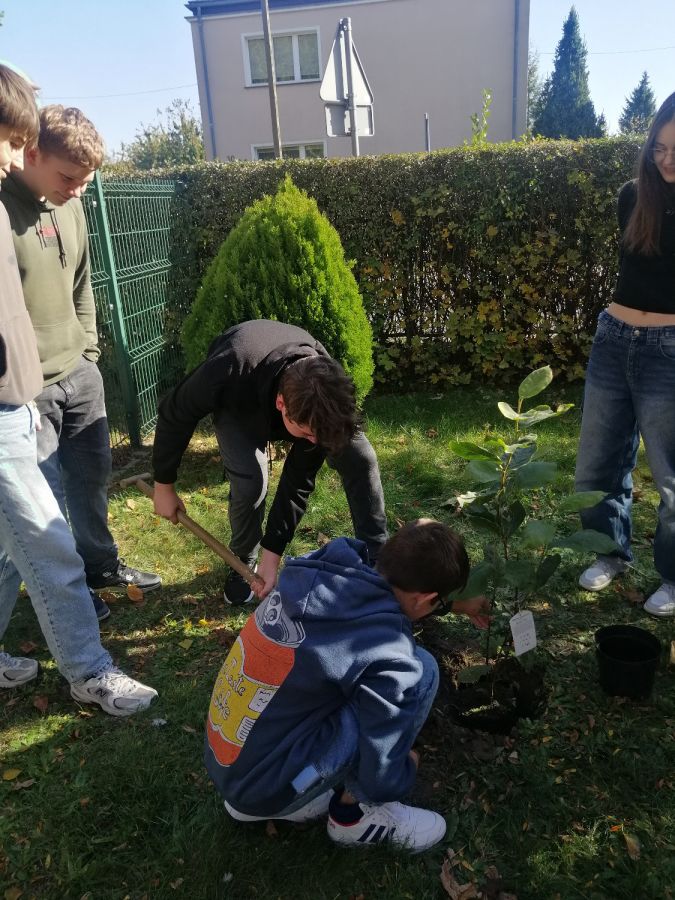 IMG 20241018 120229 IMG 20241018 120229