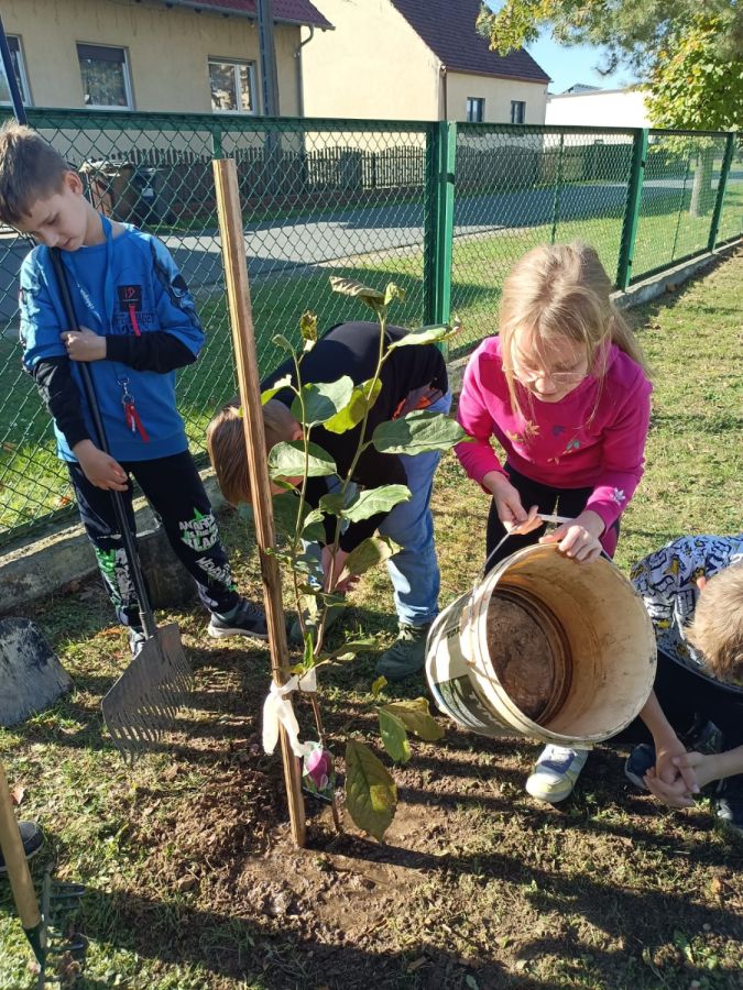 PHOTO 2024 10 22 13 04 54 PHOTO 2024 10 22 13 04 54