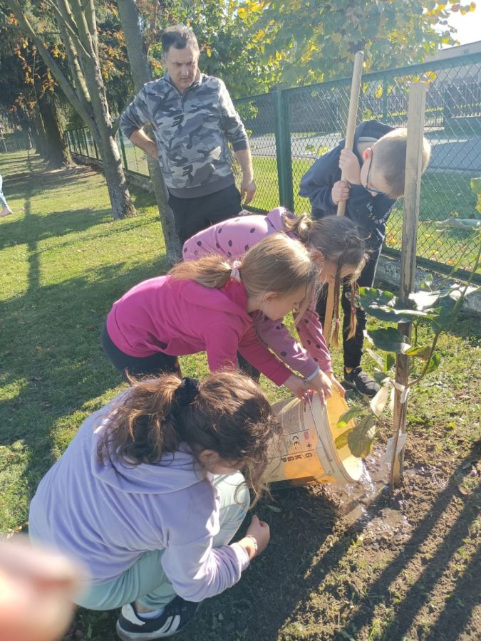 PHOTO 2024 10 22 13 04 54a PHOTO 2024 10 22 13 04 54a