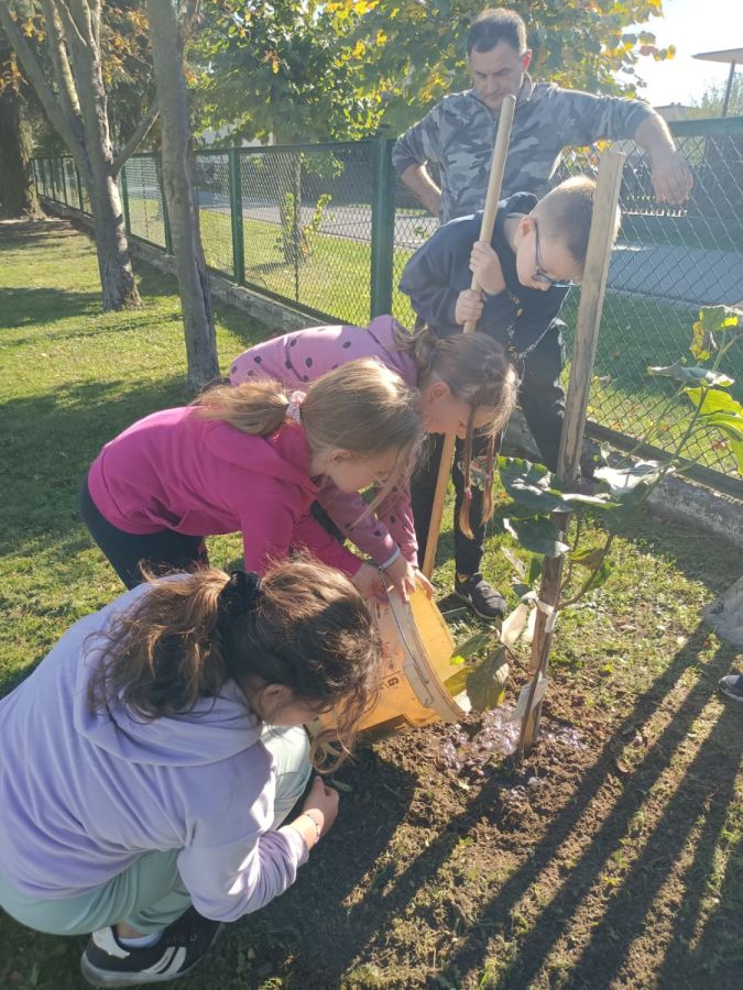 PHOTO 2024 10 22 13 04 54b PHOTO 2024 10 22 13 04 54b