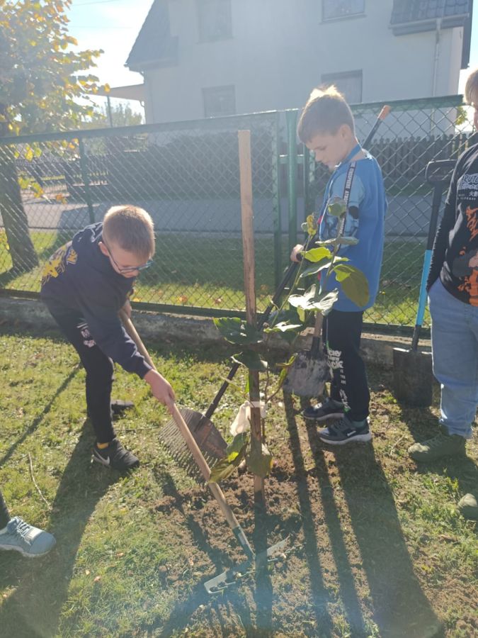 PHOTO 2024 10 22 13 04 54c PHOTO 2024 10 22 13 04 54c