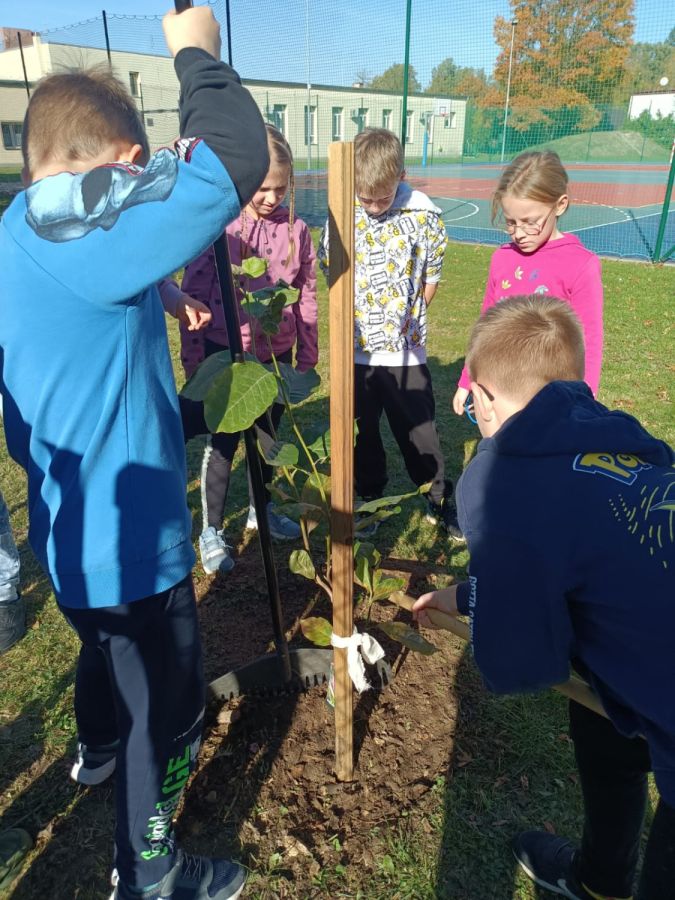 PHOTO 2024 10 22 13 04 55b PHOTO 2024 10 22 13 04 55b