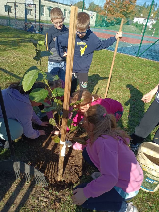 PHOTO 2024 10 22 13 04 56a PHOTO 2024 10 22 13 04 56a