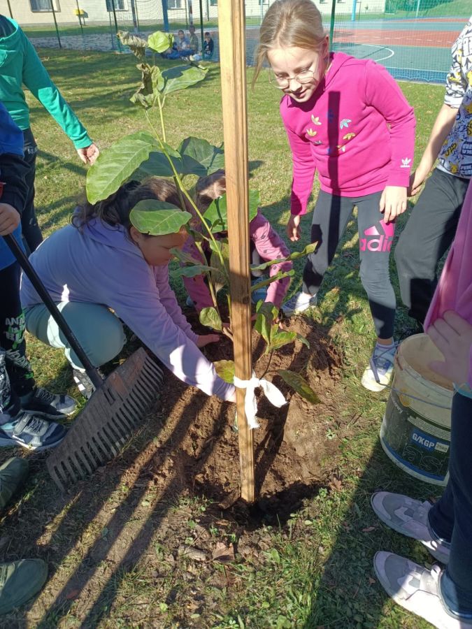 PHOTO 2024 10 22 13 04 56b PHOTO 2024 10 22 13 04 56b