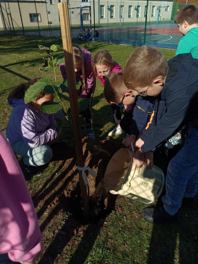 PHOTO 2024 10 22 13 04 57 PHOTO 2024 10 22 13 04 57