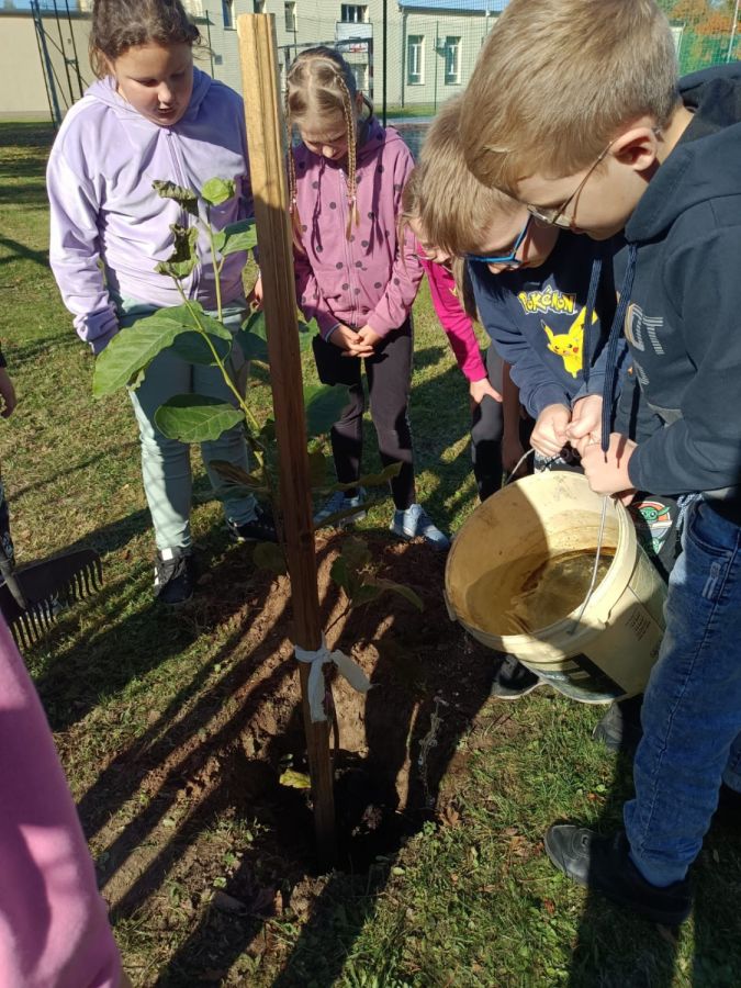 PHOTO 2024 10 22 13 04 57a PHOTO 2024 10 22 13 04 57a