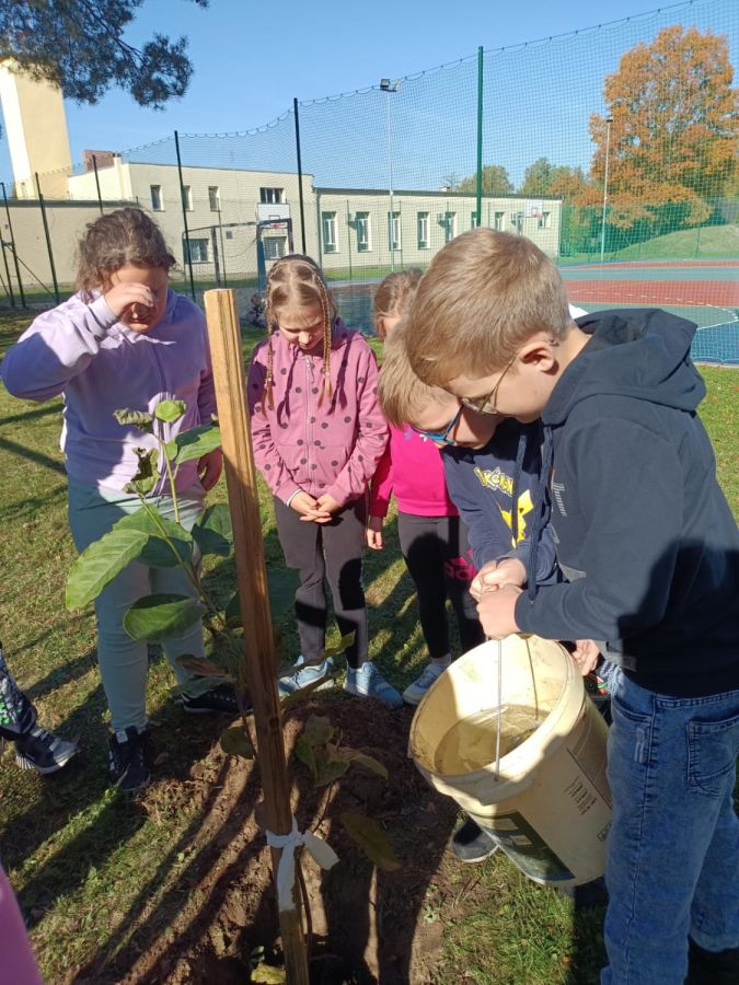 PHOTO 2024 10 22 13 04 57b PHOTO 2024 10 22 13 04 57b