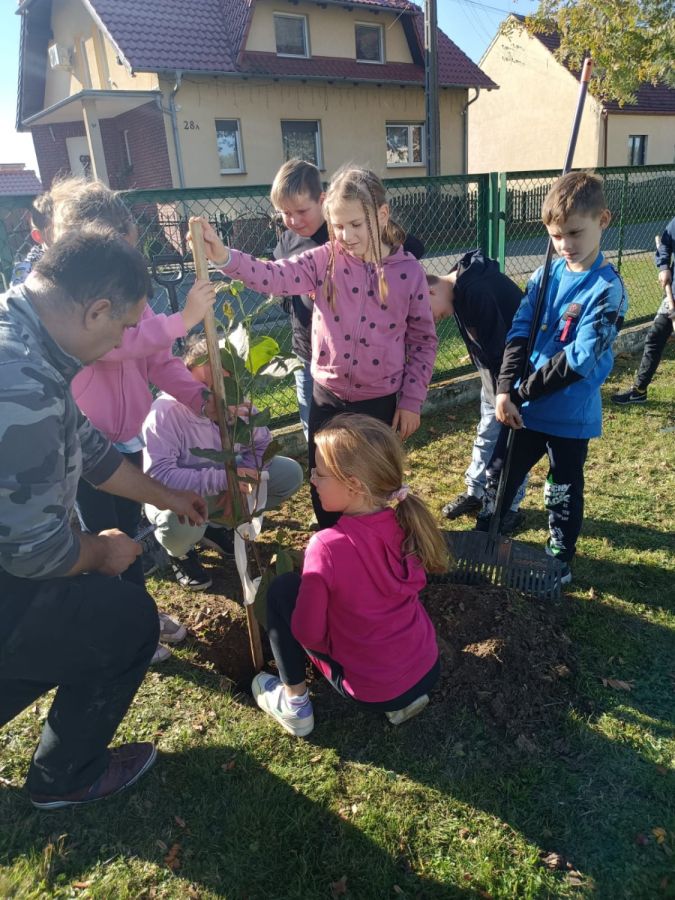 PHOTO 2024 10 22 13 04 58 PHOTO 2024 10 22 13 04 58