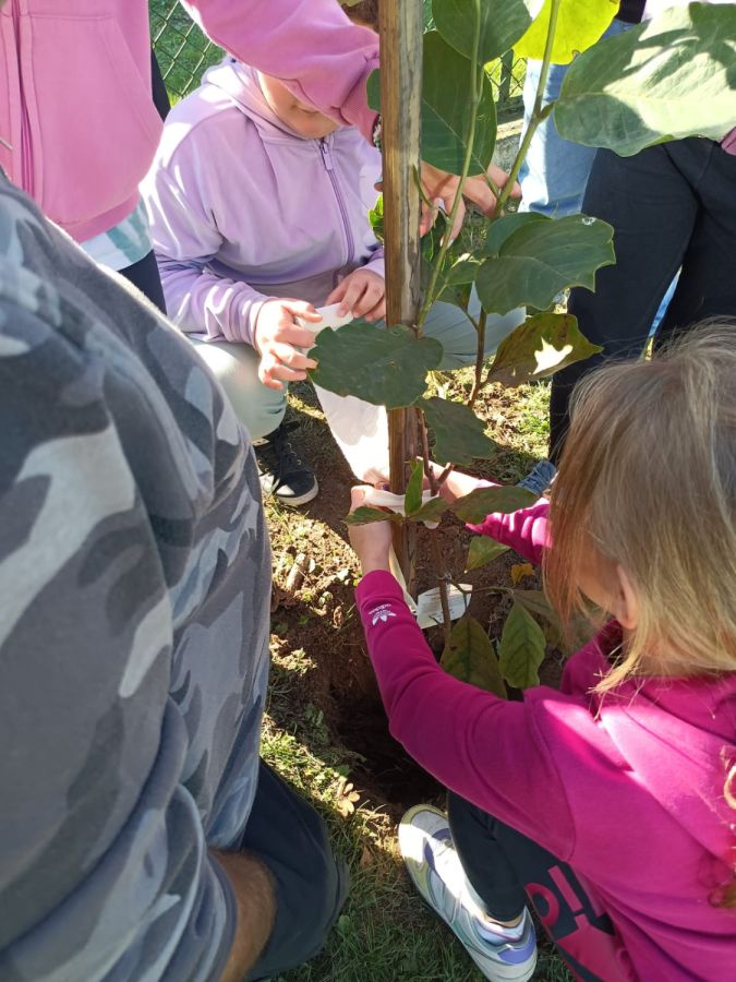 PHOTO 2024 10 22 13 04 58a PHOTO 2024 10 22 13 04 58a