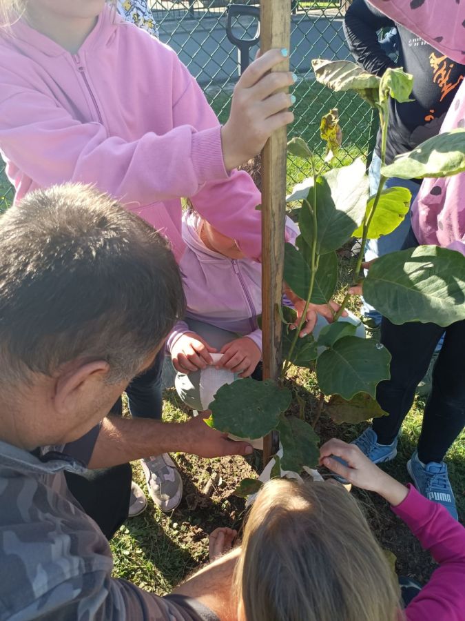 PHOTO 2024 10 22 13 04 58b PHOTO 2024 10 22 13 04 58b