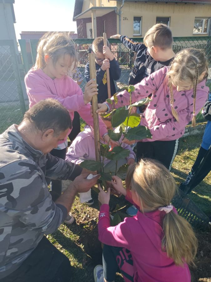 PHOTO 2024 10 22 13 04 59a PHOTO 2024 10 22 13 04 59a