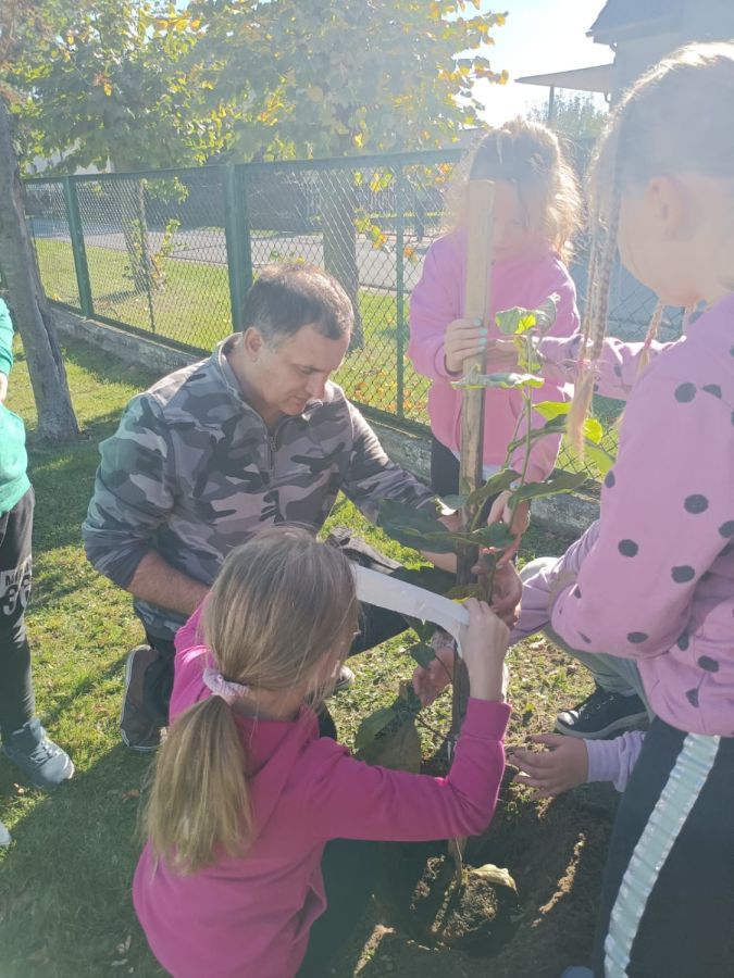 PHOTO 2024 10 22 13 05 00 PHOTO 2024 10 22 13 05 00