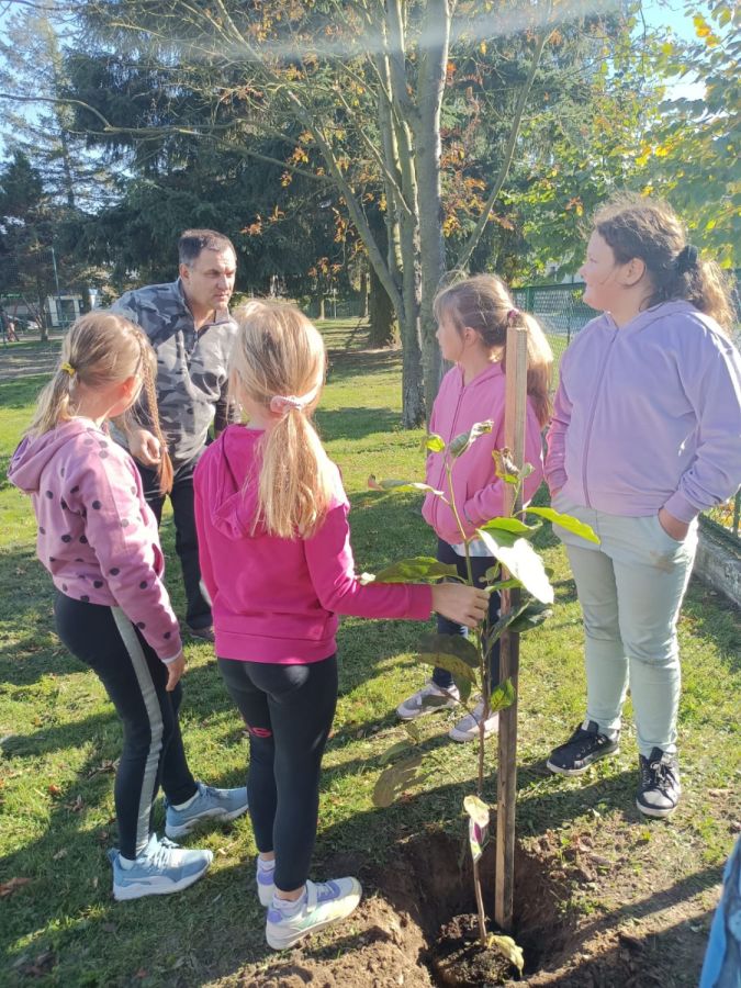 PHOTO 2024 10 22 13 05 00a PHOTO 2024 10 22 13 05 00a