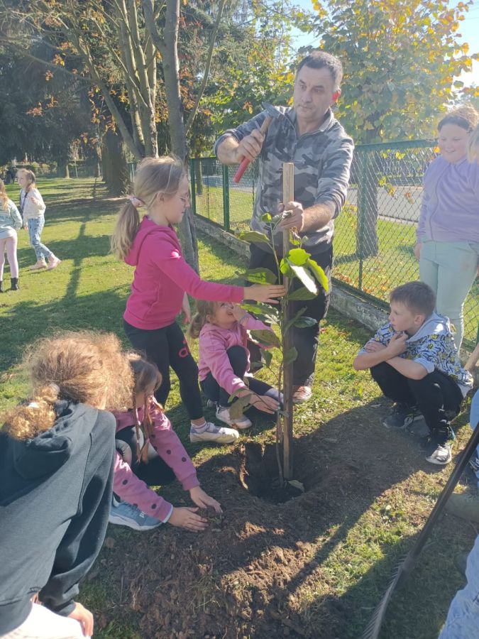 PHOTO 2024 10 22 13 05 00b PHOTO 2024 10 22 13 05 00b