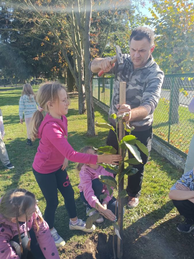 PHOTO 2024 10 22 13 05 01 PHOTO 2024 10 22 13 05 01