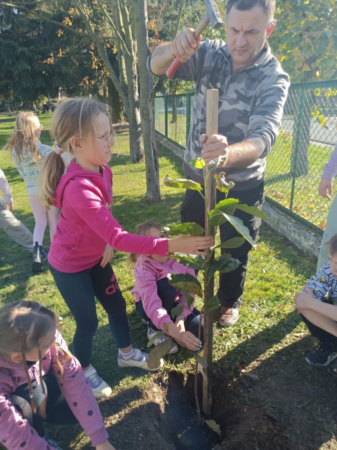 PHOTO 2024 10 22 13 05 01a PHOTO 2024 10 22 13 05 01a