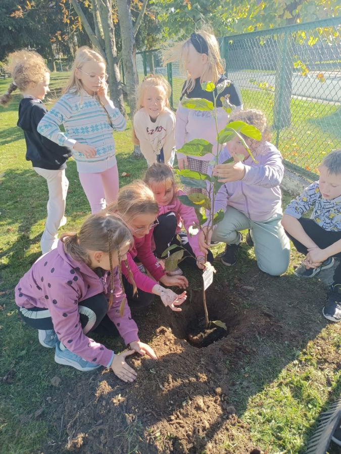 PHOTO 2024 10 22 13 05 01b PHOTO 2024 10 22 13 05 01b