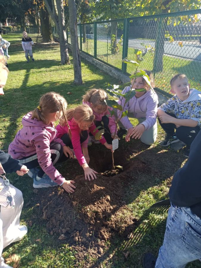 PHOTO 2024 10 22 13 05 01c PHOTO 2024 10 22 13 05 01c