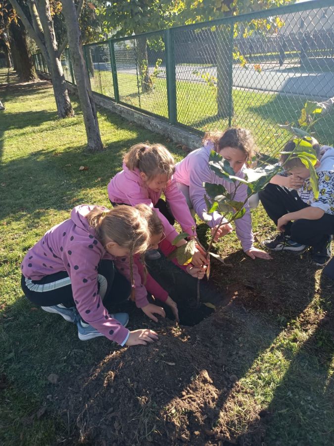 PHOTO 2024 10 22 13 05 01d PHOTO 2024 10 22 13 05 01d