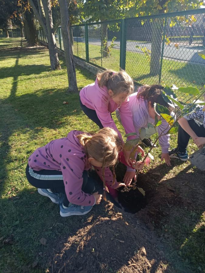 PHOTO 2024 10 22 13 05 01e PHOTO 2024 10 22 13 05 01e