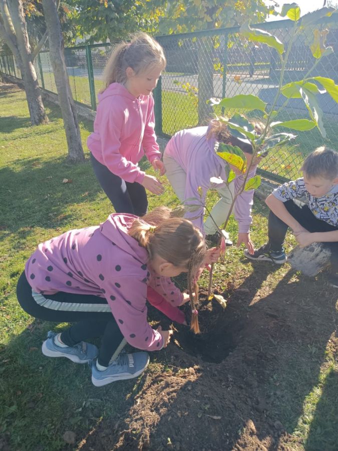 PHOTO 2024 10 22 13 05 02 PHOTO 2024 10 22 13 05 02