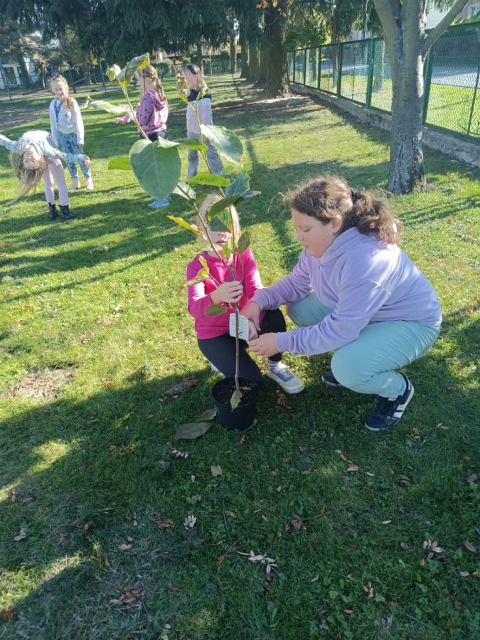 PHOTO 2024 10 22 13 05 04 PHOTO 2024 10 22 13 05 04