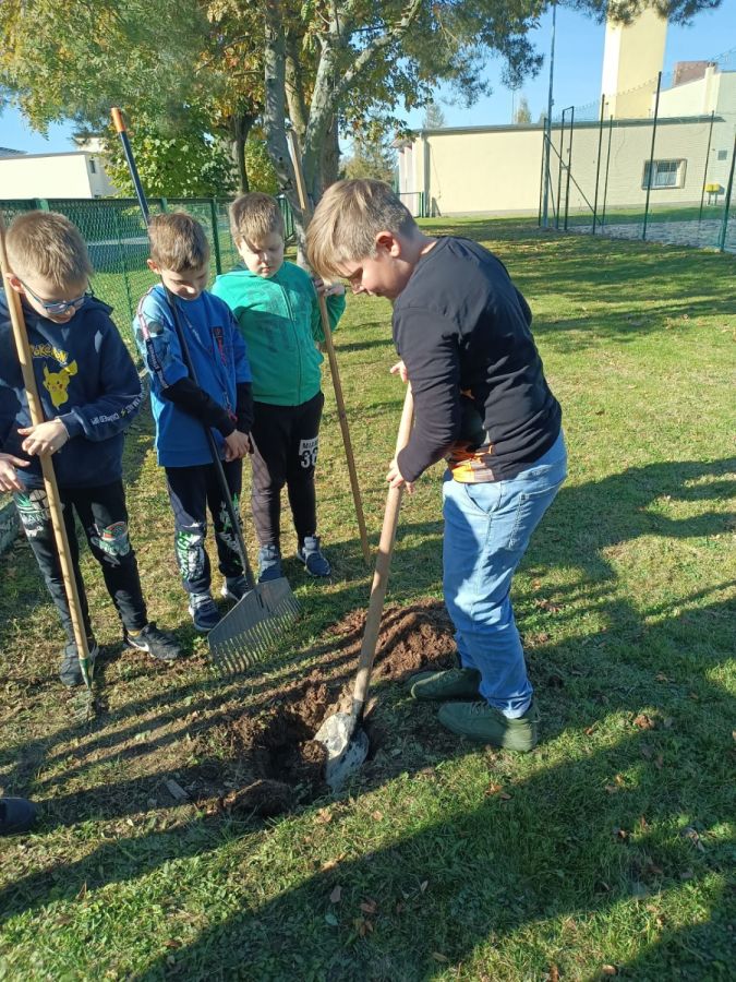 PHOTO 2024 10 22 13 05 04b PHOTO 2024 10 22 13 05 04b