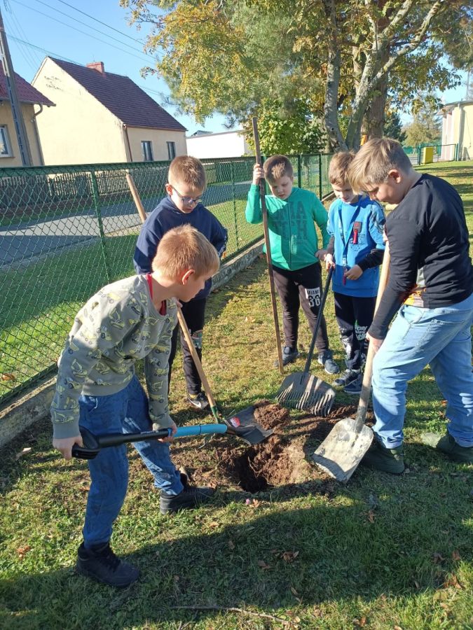 PHOTO 2024 10 22 13 05 04c PHOTO 2024 10 22 13 05 04c