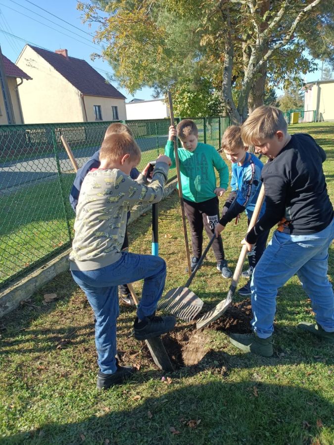 PHOTO 2024 10 22 13 05 04d PHOTO 2024 10 22 13 05 04d