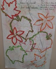 whatsapp image 2025 11 19 at.14.51