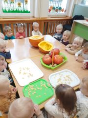 whatsapp image 2025 11 19 at.14.51f